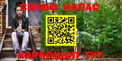 дурь Славгород