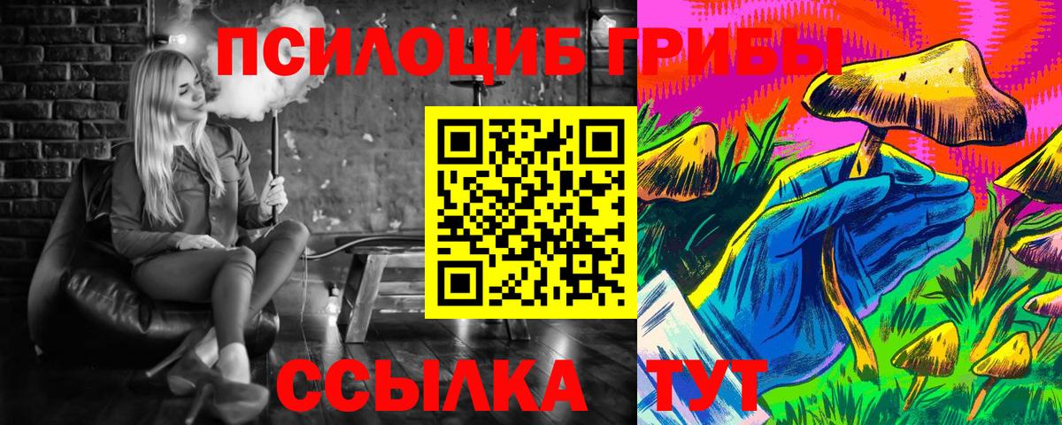 Псилоцибиновые грибы прущие грибы  купить закладку  Томск  Вход с VPN 